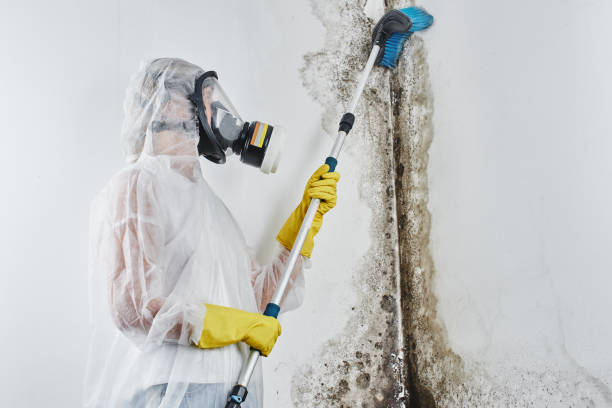 Best Mold Testing  in Lyons, OR
