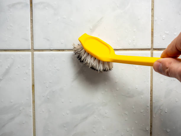 Mold Removal Process in Lyons, OR