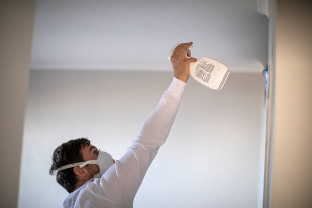 Mold Testing and Removal in Lyons, OR