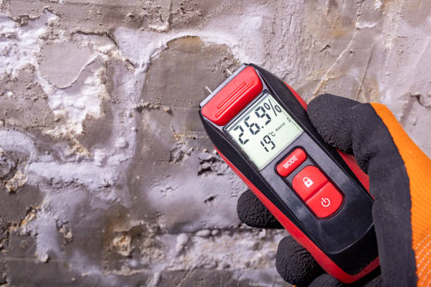 Best Office Mold Removal Services  in Lyons, OR