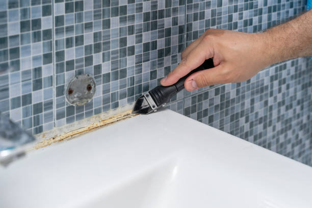 Professional Mold Removal in Lyons, OR