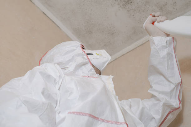 Trusted Lyons, OR Mold Removal Experts
