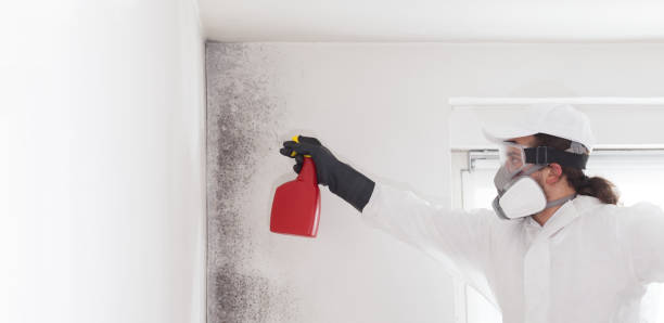Best Professional Mold Removal  in Lyons, OR