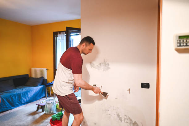 Best Mold Cleaning Services  in Lyons, OR