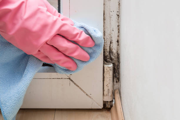 Best Certified Mold Removal  in Lyons, OR